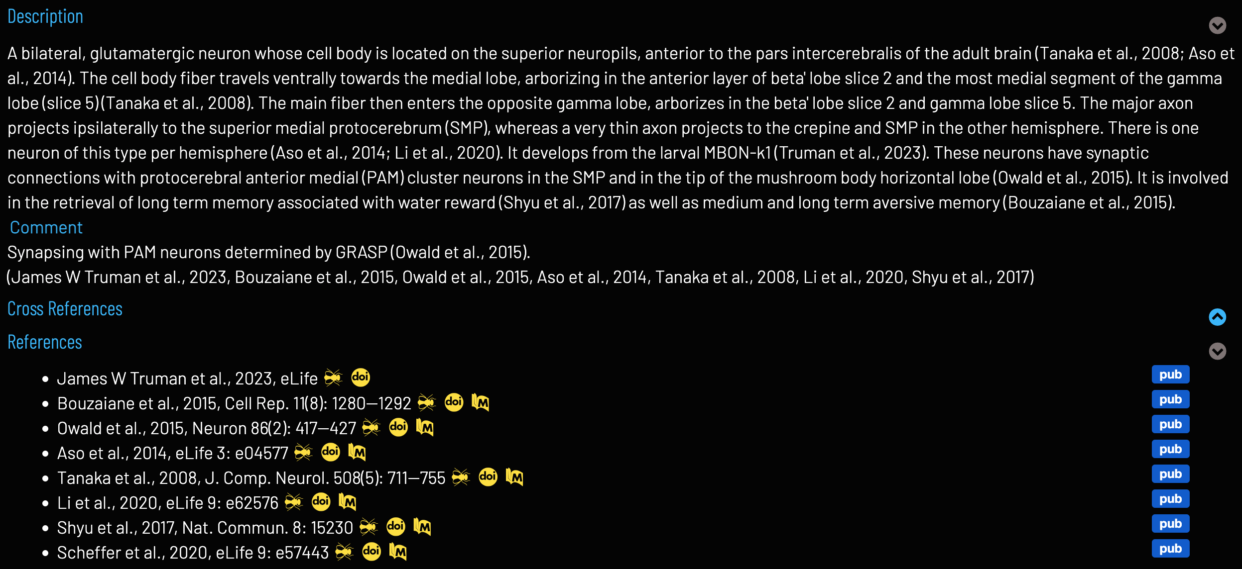 Definition for 'mushroom body output neuron 1'